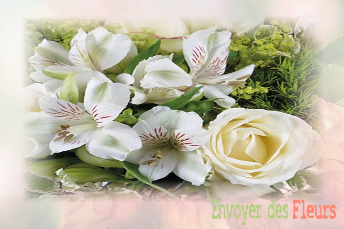 envoyer des fleurs à à SAINT-MARTIN-DES-ENTREES